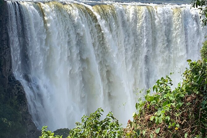 Guided Tour of the Falls Rainforest - Why the rainforest is the right way to see Victoria Falls