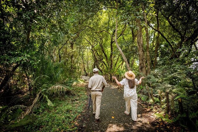 Guided Tour of the Falls Rainforest - What happens inside Mosi-oa-Tunya National Park