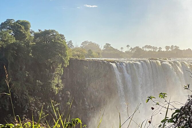 Guided Tour of the Falls Rainforest - Viewpoints, mist, and the practical side of the walk