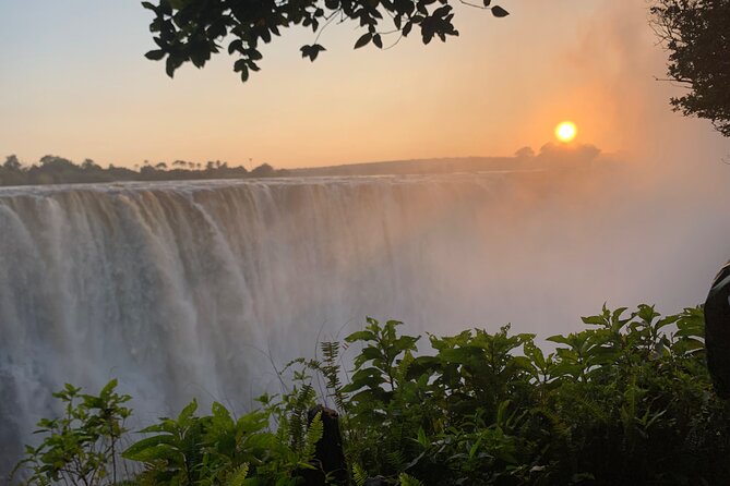 Guided Tour of the Falls Rainforest - Who will get the most from this tour