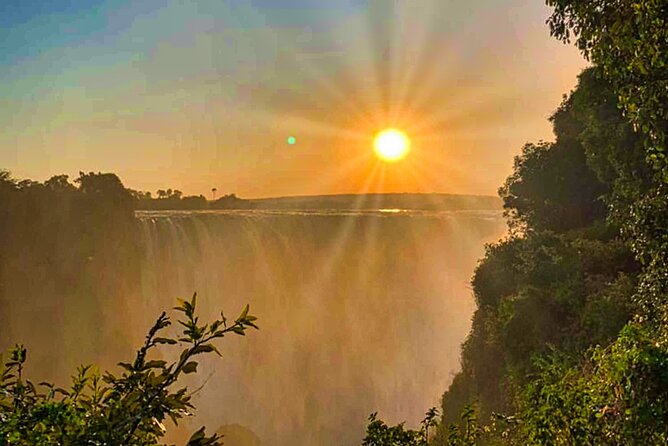 Guided Tour of the Falls Rainforest - Booking, cancellation, and small details to confirm