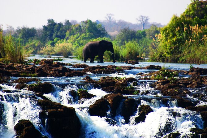Guided Tour of the Falls (ZIM side) Wildlife Safari, by Savannah - Key points to know before booking