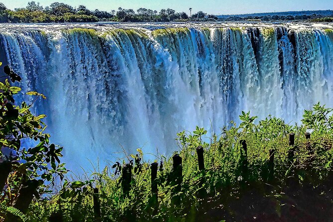 Guided Tour of the Falls (ZIM side) Wildlife Safari, by Savannah - Entering the Victoria Falls rainforest