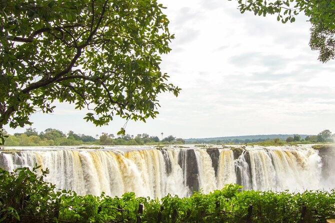 Guided Tour of the Falls (Zimbabwe side) - Seeing the waterfalls from several angles