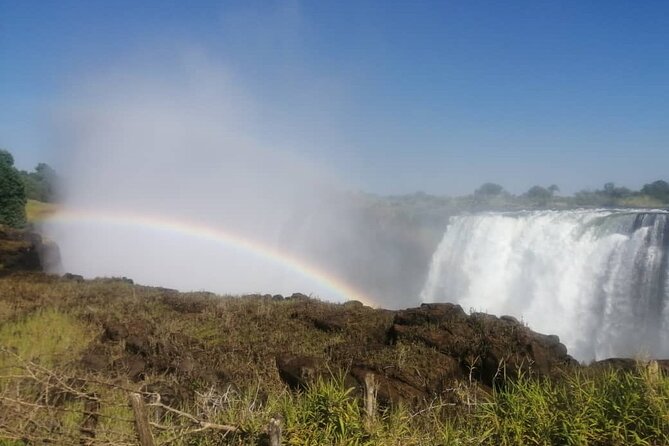 Guided Tour of the Falls (Zimbabwe side) - Rainforest paths and the wet-weather reality