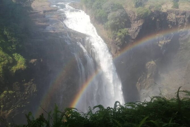 Guided Tour of the Falls (Zimbabwe side) - The guide’s style: facts, stories, and good conversation