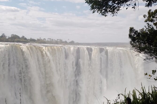Guided Tour of the Falls - Entering the rainforest and approaching the falls