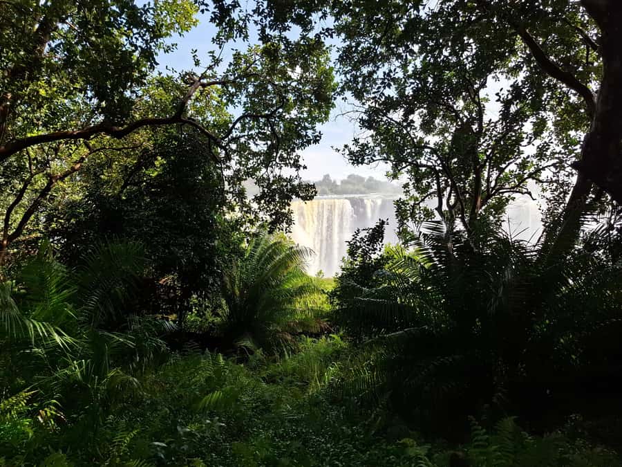 Guided tour of Victoria Falls and safari in Chobe Park - Walking the Victoria Falls viewpoints with a local guide