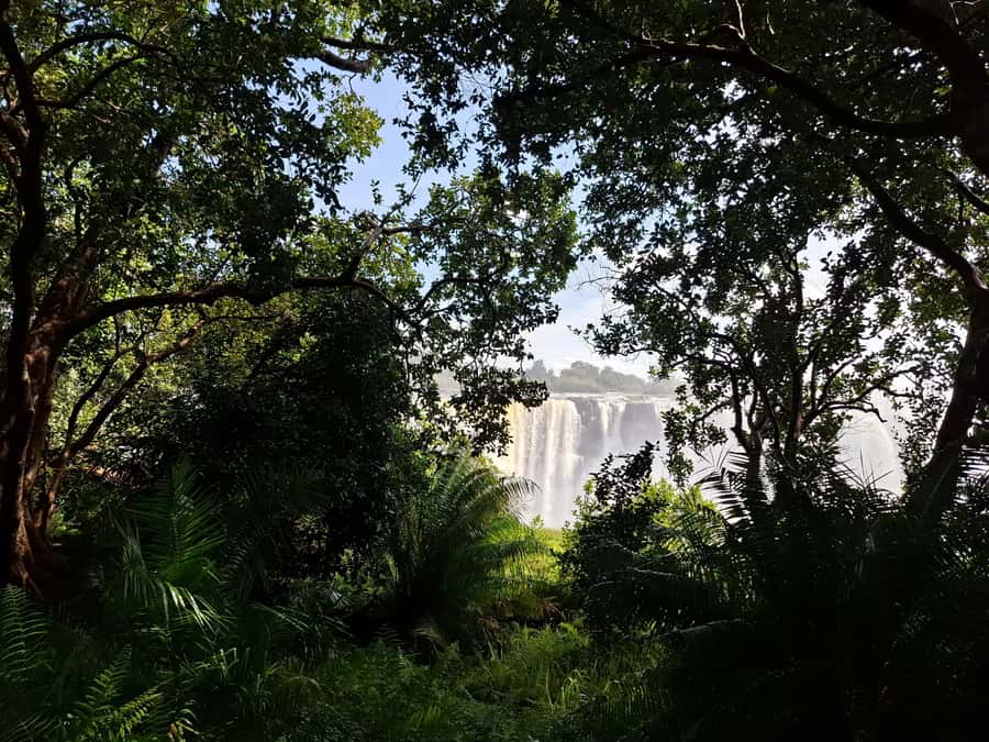 Guided tour of Victoria Falls and safari in Chobe Park - Who will enjoy this organized day?