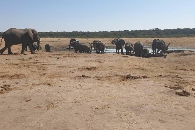Guided Tour of Victoria Falls & Sunset Cruise Combo - What to confirm before booking