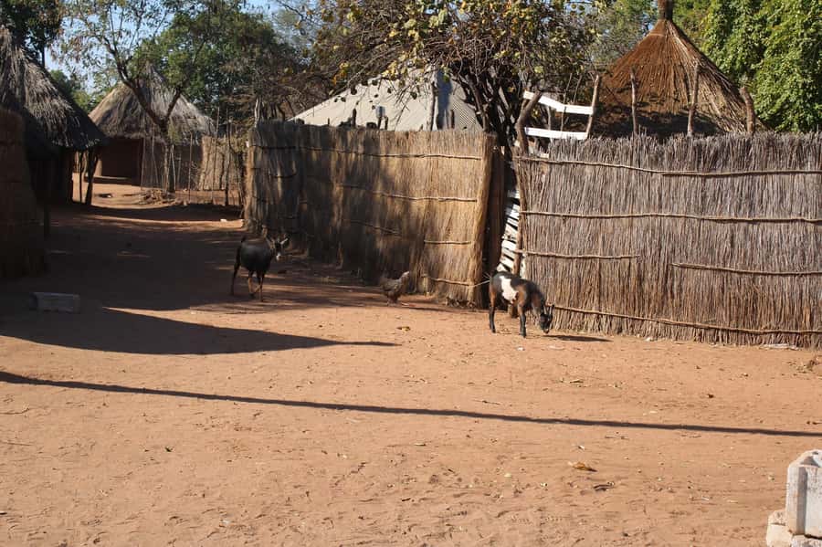 Half day Livingstone day trip from Victoria Falls - A Guided Walk Through Livingstone Town