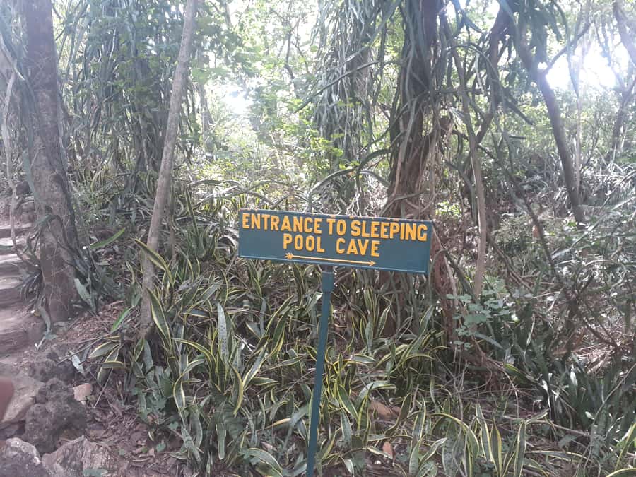 Harare: Chinhoyi Caves Day Trip with Lunch and Transfer - The optional lion enclosure