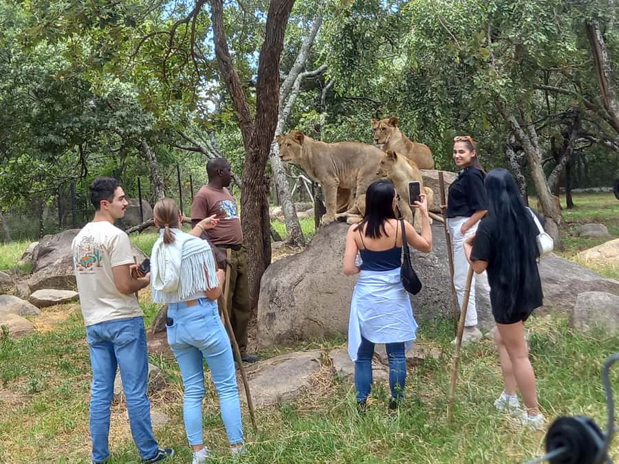 Harare: Half Day Outdoor Adventure - Getting your bearings on the Harare city drive