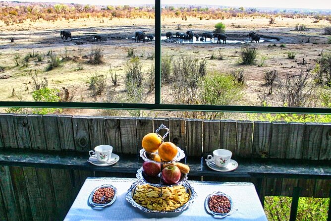 High Tea in the Savannah, Catering by Victoria Falls Hotel - Key things to know before you book