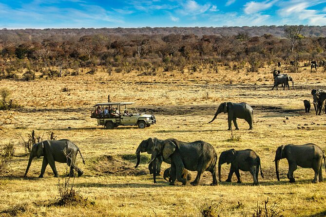 High Tea in the Savannah, Catering by Victoria Falls Hotel - Why the sunset drive matters