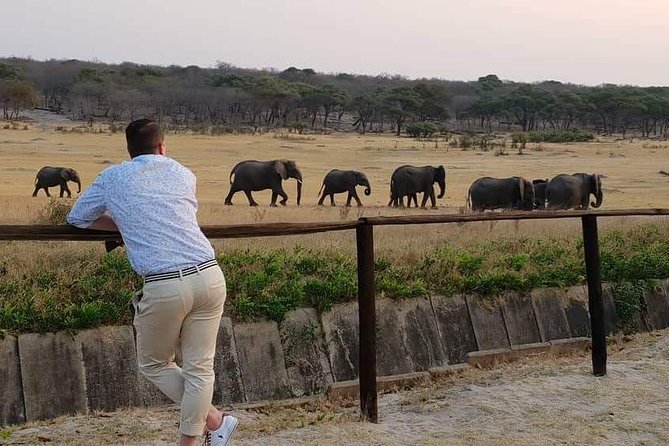 Hwange 3 day Safari - Day one: leaving Victoria Falls for Hwange