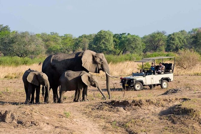 Hwange Day Trip - Returning to Victoria Falls around 6:00 p.m.