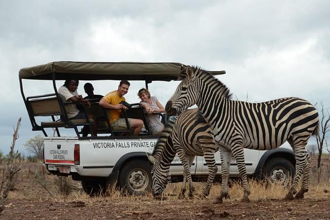 Hwange Day Trip - Is $200 plus the transfer a fair value?