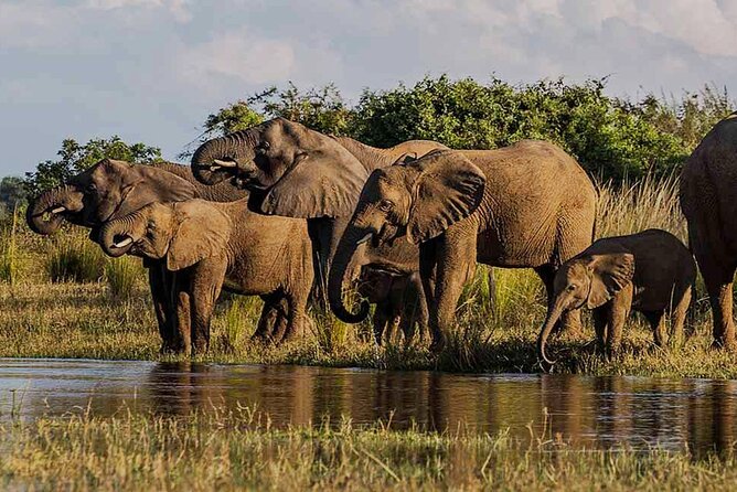Hwange Day Trip - Getting your bearings at the lodge