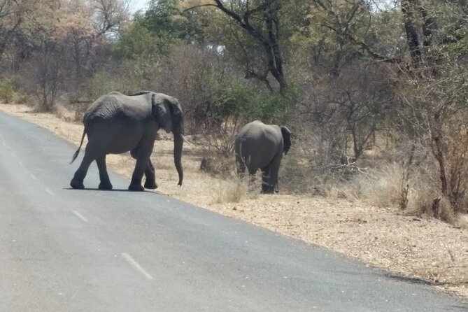 Hwange National Park 3 Days Package - Why Hwange works as a short safari from Victoria Falls