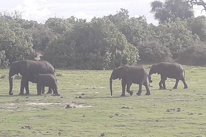 Hwange National Park 3 Days Package - Who will get the most from this trip?