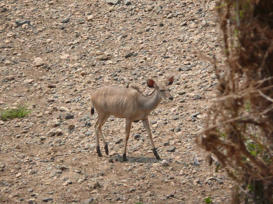 Hwange National Park Day Trip from Victoria Falls - Leaving Victoria Falls through rural Zimbabwe