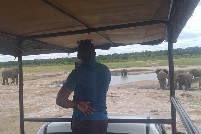 Hwange National Park Full Day Trip - What the $365 price really covers