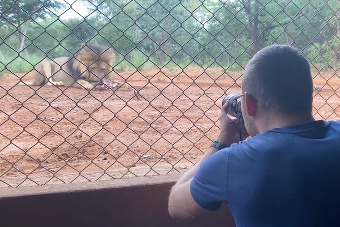 Lion & Wildlife Sanctuary Excursion Victoria Falls - Ostriches, birds, sable, and rescued animals