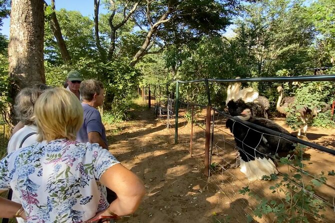 Lion & Wildlife Sanctuary Excursion Victoria Falls - Is $120 a fair price?