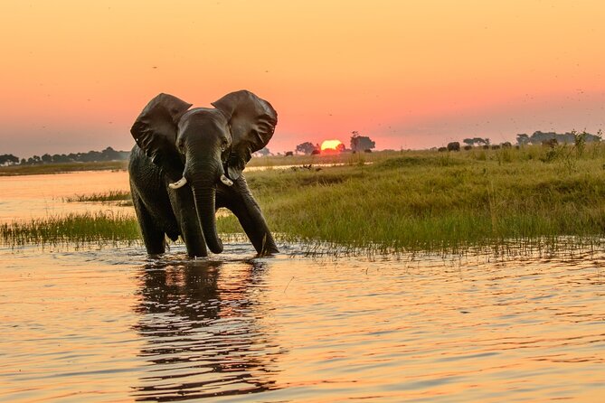 Luxury Sunset River Cruise on the Zambezi - Is $100 a fair price?