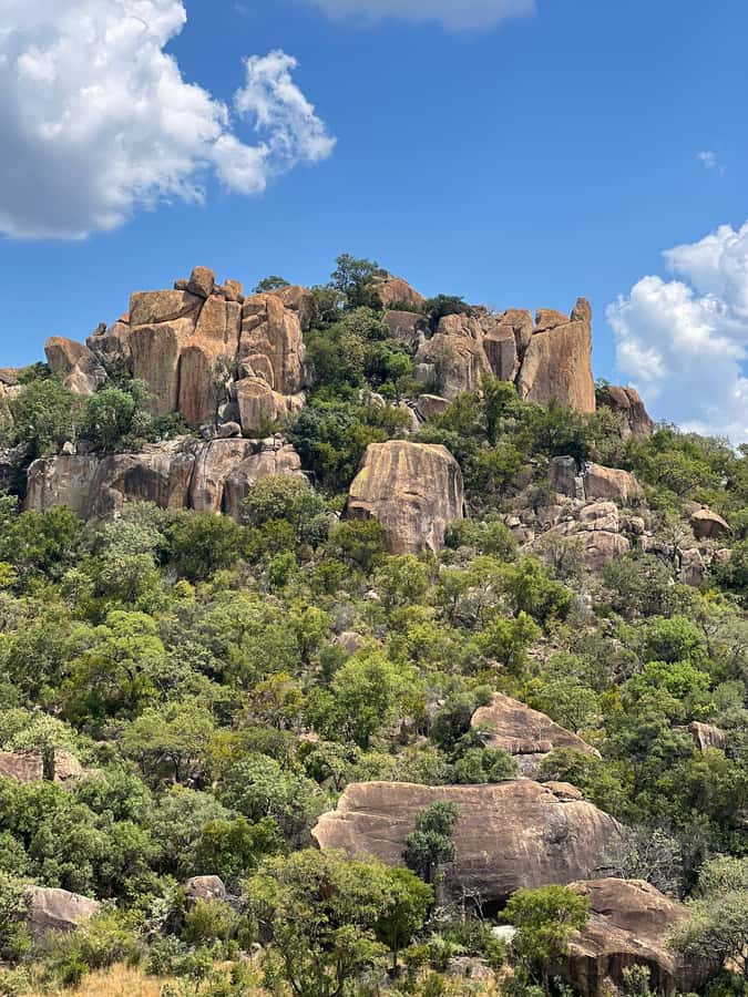 Matobo Hills Day Trip with Rhino Tracking - Balancing rocks, plants, and open views