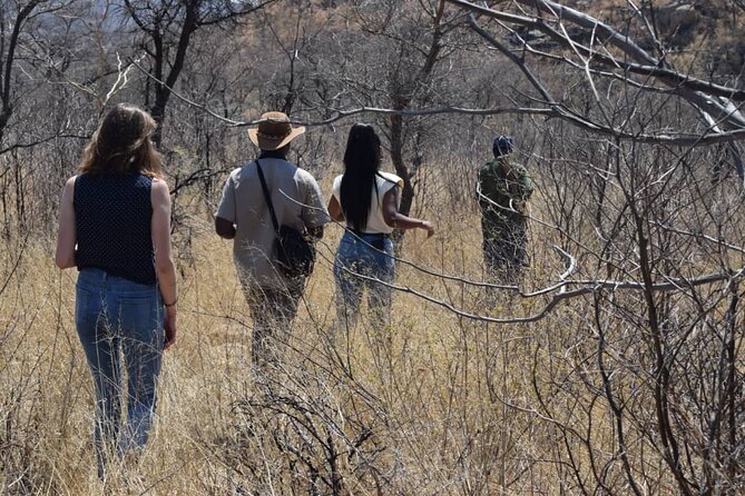 Matobo Rhino Encounter - Why this Matobo walk feels different