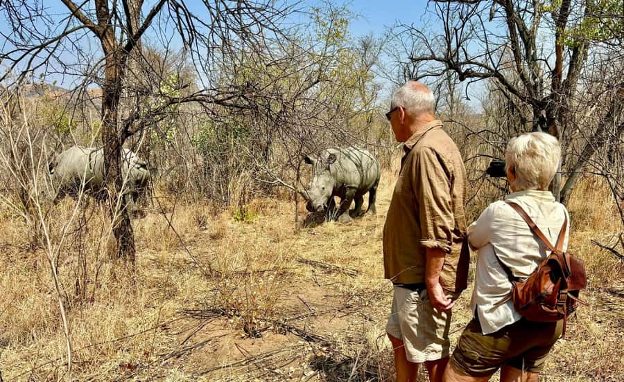 Matobo White Rhino Experience - Why the white rhino encounter is the star
