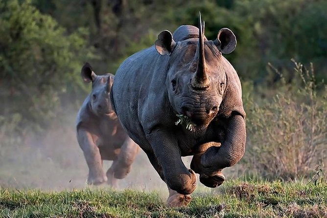 Matopos Half Day Excursion - Five things to know before you go
