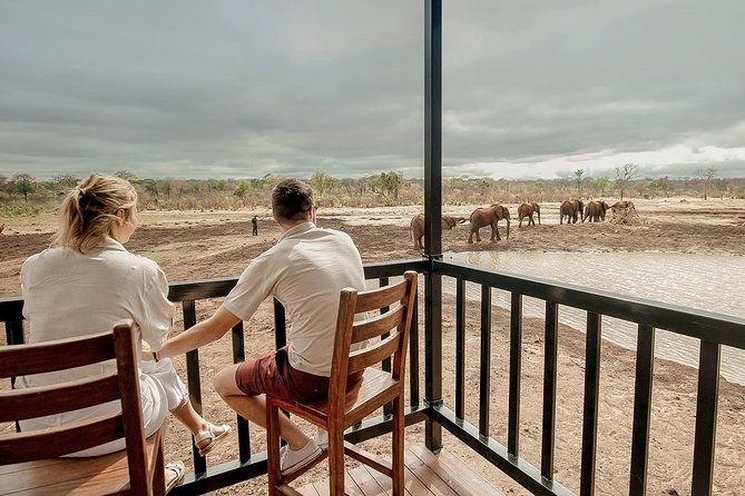 Moments with Elephants - Watching the herd at the waterhole