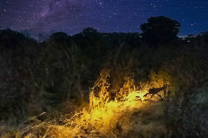Moonlight Experience and Stargazing close to Victoria Falls - The bush atmosphere adds something different