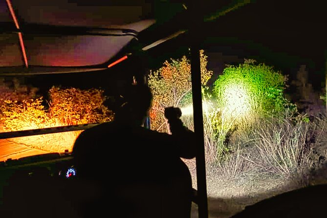 Moonlight Experience and Stargazing close to Victoria Falls - Who will enjoy this evening most