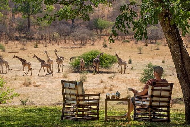 Morning or Afternoon Game Drive In Victoria Falls - Stanley and Livingstone’s 6,000 acres