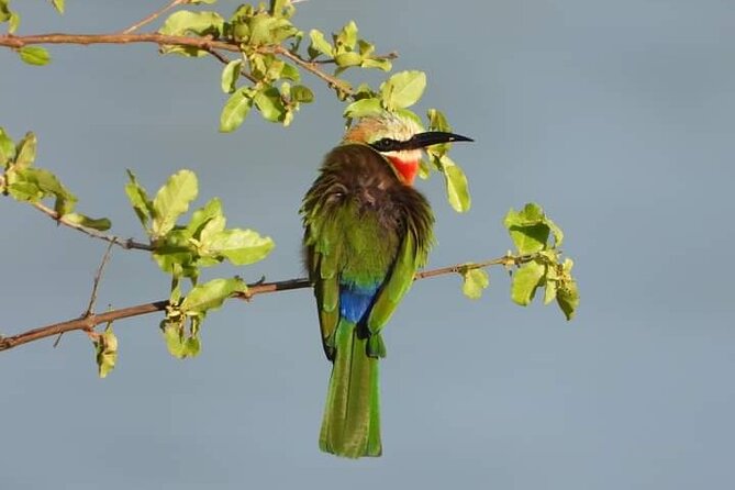 Private Guided Tour in Victoria Falls - The 4-kilometer walk through 16 viewpoints