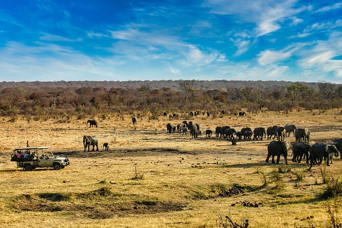 Safari Game Drive in the Savannah with Hotel pickup 3 times daily - The Briefing Before Chamabondo Park