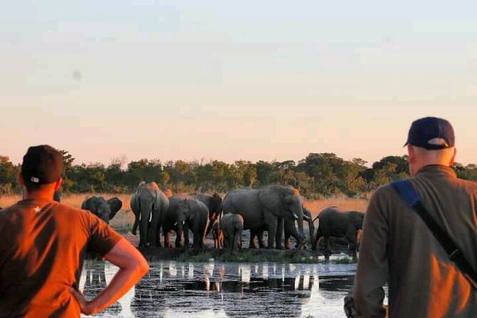Safari Game Drive in Zambezi National Park - What the three to four hours actually feel like