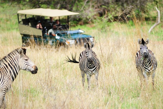 Safari Game Drive in Zambezi National Park with Hotel Pickup - Is $100 a fair price for this game drive?