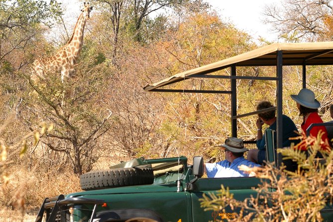 Safari Game Drive in Zambezi National Park with Hotel Pickup - Who will enjoy this Victoria Falls safari most