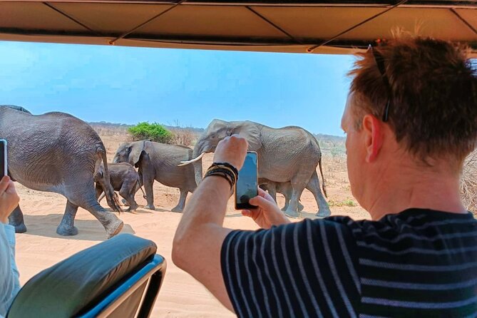 Safari in Victoria Falls and Zambezi National Park - What makes the guiding valuable