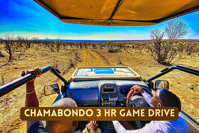 Safari in Victoria Falls and Zambezi National Park - Is $119, plus the park fee, good value?