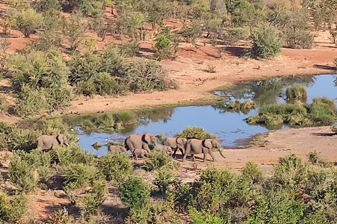 Safari in Victoria Falls and Zambezi National Park - Who will enjoy this three-hour safari most?