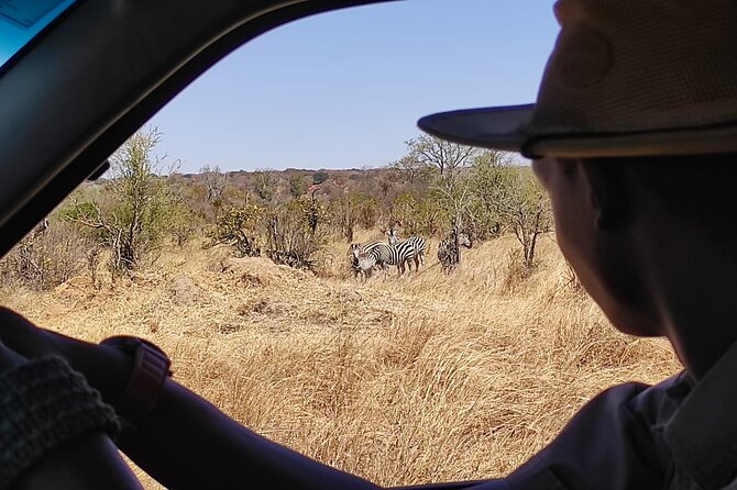 Safari in Victoria Falls and Zambezi National Park - Timing, pickup, and cancellation details