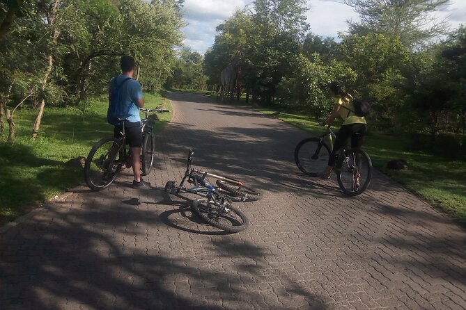 Signature tour - Crossing the Victoria Falls Bridge for the Big Views