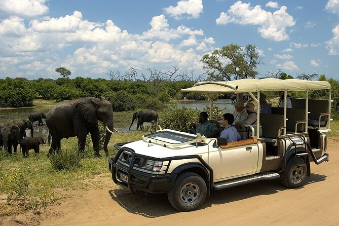 Small Group: Zambezi National Park Guided Game Drive - A Small Group With a Practical Limit