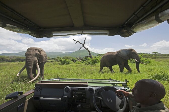 Small Group: Zambezi National Park Guided Game Drive - Who Will Enjoy This Game Drive Most?
